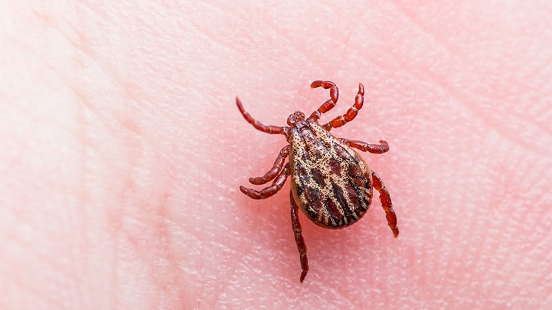 Tick-Borne Sicknesses Are on the Rise in Canada