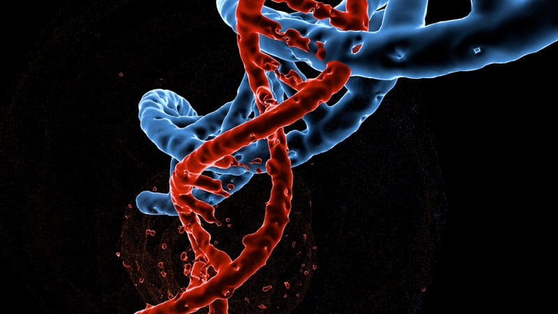 From Bubble Boy to Gene Therapy: A New Era for IEIs