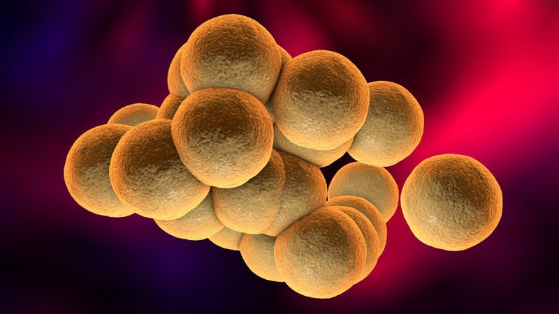 Dual Decolonization Strategy Cuts Recurring Skin Infections