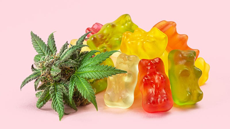 Medical Use of Cannabis Poses Risks in Adolescents