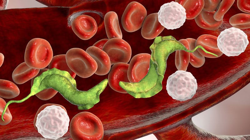 EMA Backs Single-Dose Pill for Sleeping Sickness