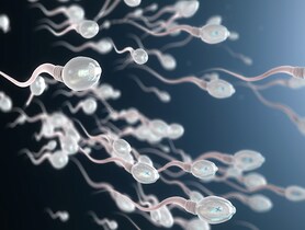 photo of Sperm cells moving