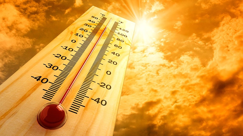Climate Change Fuelling Heat Deaths in Europe, Study Reveals