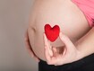 photo of pregnant woman keeps small red heart