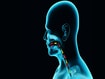 photo of dysphagia