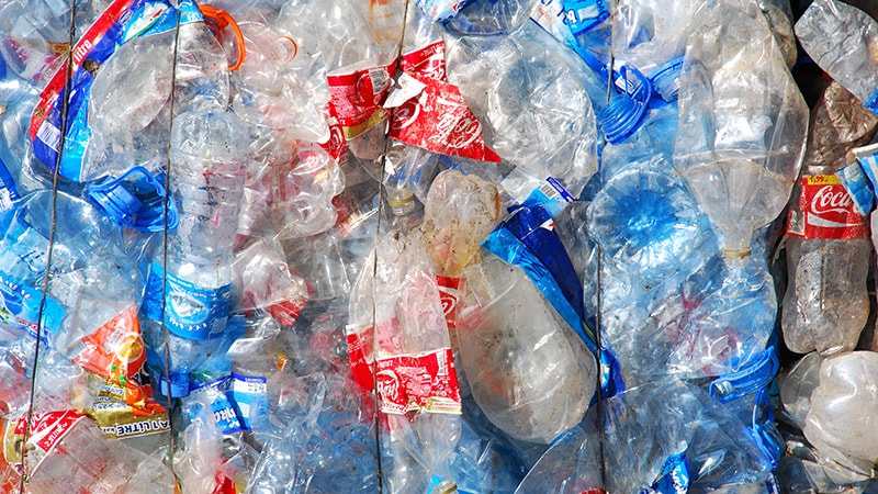 Quelle est la charge de morbidité liée à l’exposition au plastique ?