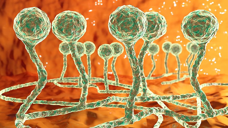 Fungal Infection Shows Staying Power