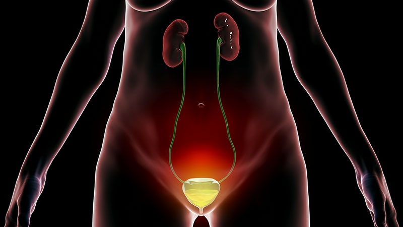 Overactive Bladder Aided by Cognitive Therapy