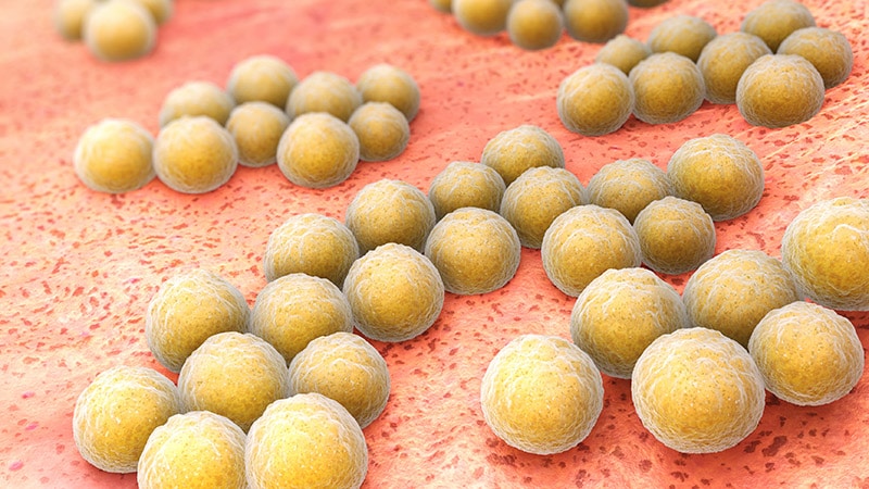 VLBW Hospitalized Infants Face High S aureus Infection Risk