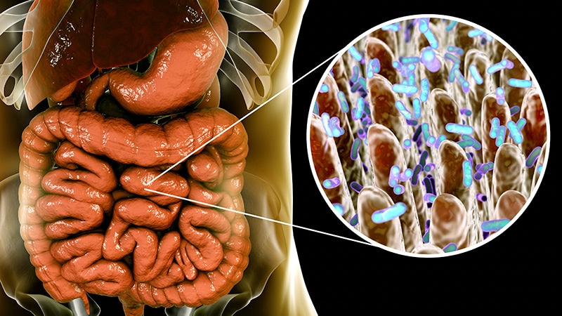 The Next Frontier of Antibiotic Discovery: Inside Your Gut