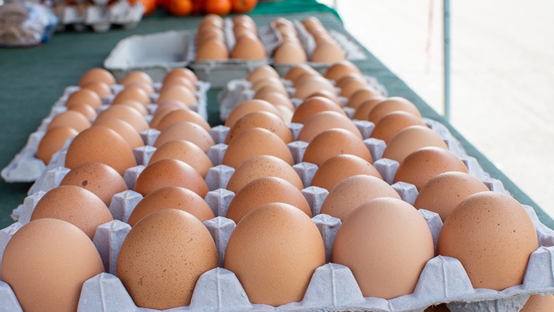 Eggs: A Weighty Matter for Postmenopausal Women?