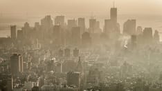Exposure to Commonly Used Chemical Tied to PD Risk