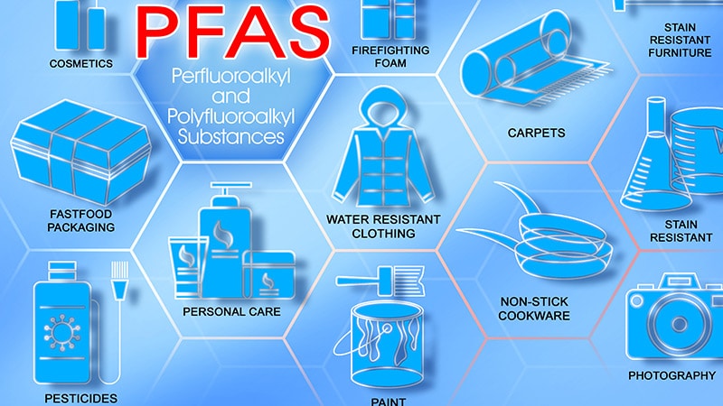 PFAS May Affect Kidneys via Gut Microbes, Blood Metabolites