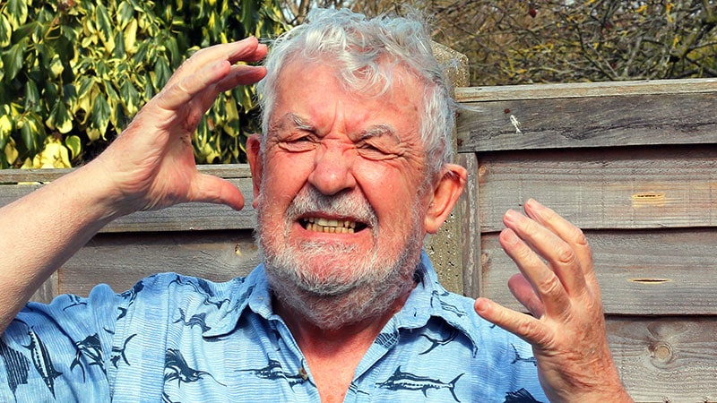 Alzheimer’s Disease: The Cholinergic Revival