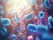 photo of gut bacteria