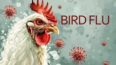 Bird Flu’s Unprecedented Global Spread Sparks Alarm