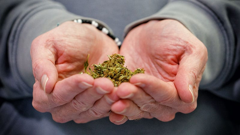 Cannabis & Dementia Risk: Hospitalization Link