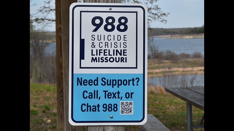 988 Lifeline Early Years Marked by Underuse, Regional Divide
