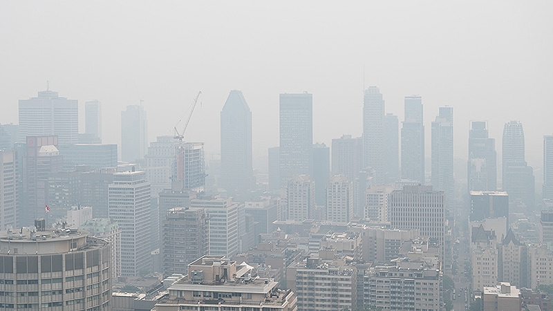 Spike in Asthma ED Visits After Wildfires a ‘Wake-Up Call’