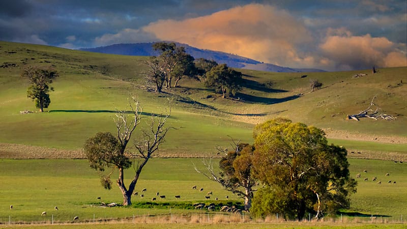Multibillion-Dollar Health Funding Gap Between Urban and Rural Australia