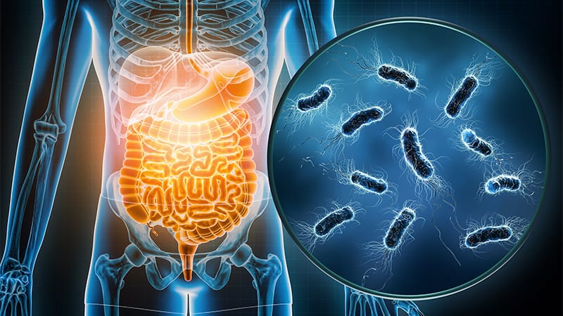 Gastrointestinal Bacterial Infections May Trigger IBD Flares