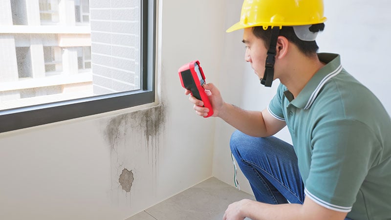 A Hidden Health Crisis: Mold Growth in Homes