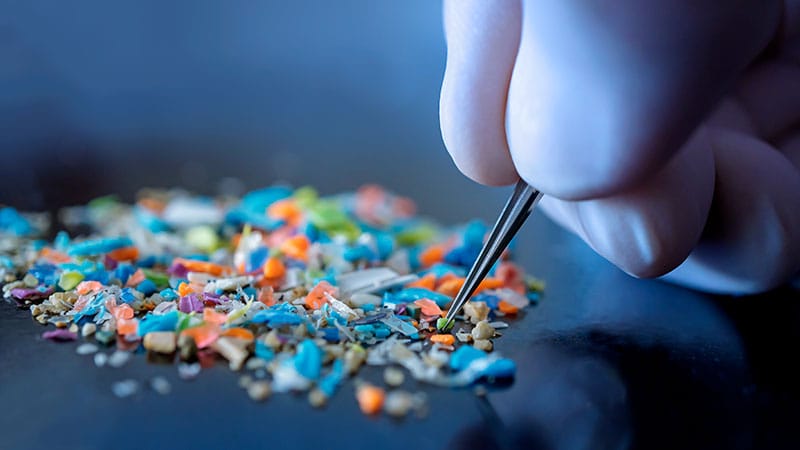 Microplastics in Humans: What the Science Really Says