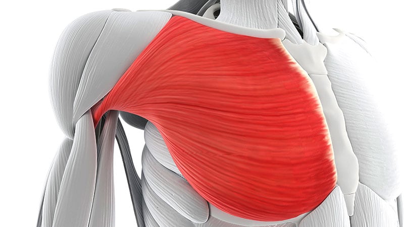 New Cellular Clues Reveal a Path to Preventing Sarcopenia