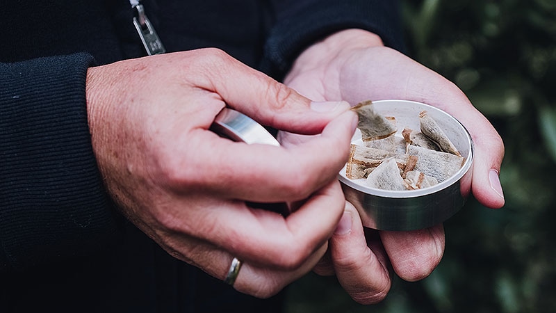 Are Nicotine Pouches a Cassation Tool ? 