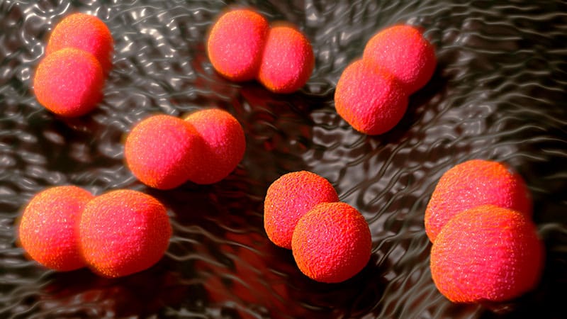 Meningococcal Disease Has Been Increasing Since 2021