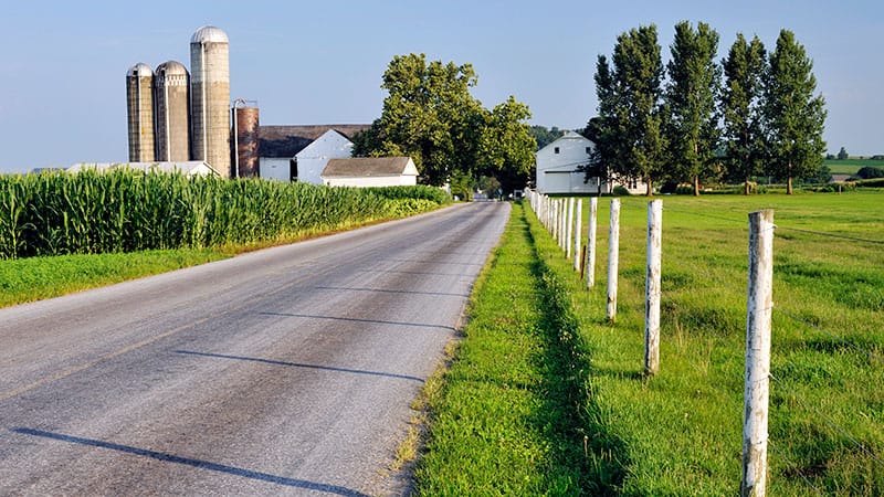 On the Road: NPs Deliver Mental Health on Wheels