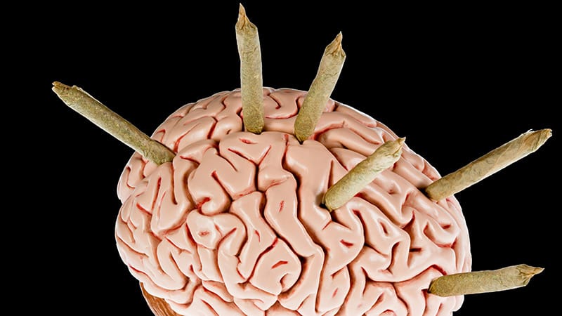 Cannabis and Tobacco Use Tied to Reduced Brain Volumes