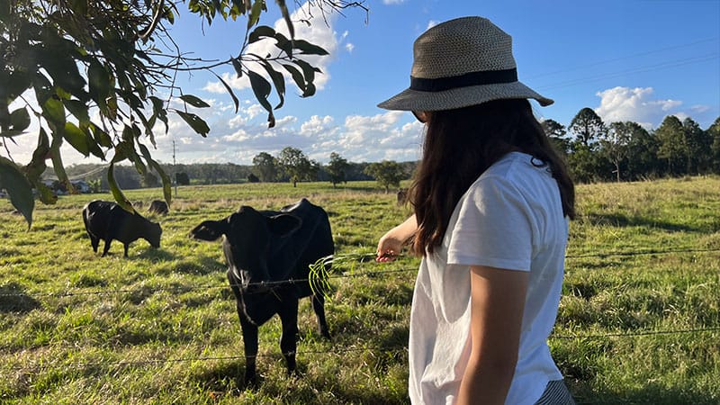 Toward Community-Led Suicide Prevention for Australian Youth