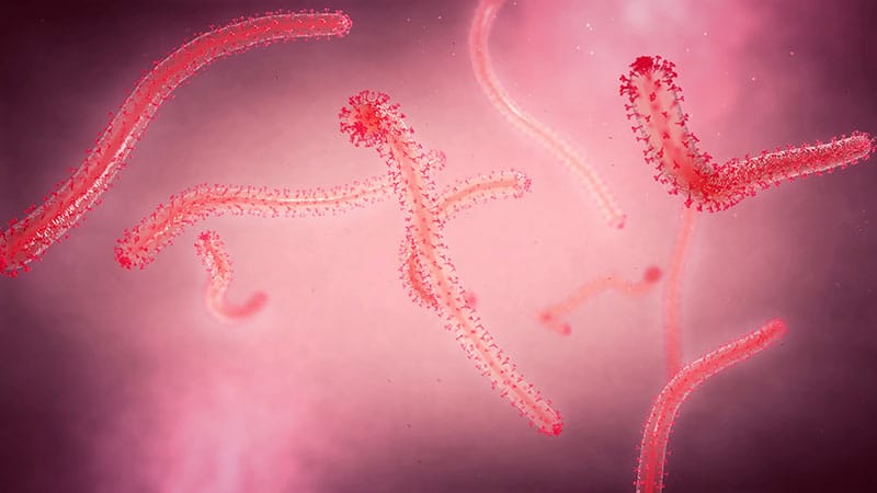 American Doctor Has Ebola, Will Be Transferred for Care