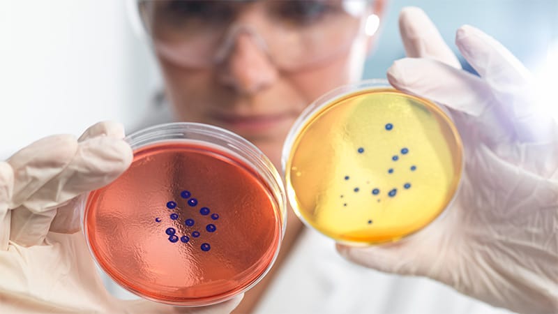 Ethnic Disparities in Bacteraemia and Resistance in England