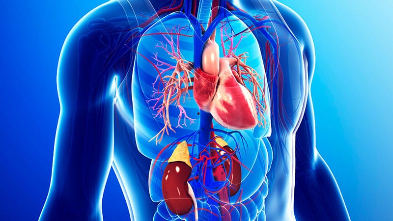 Erste Leitlinie zum kardiorenal-metabolischen Syndrom veröffentlicht