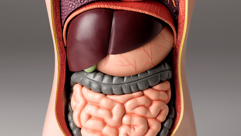 Novel Nerve Block Yields Advantages in Bariatric Surgical procedure