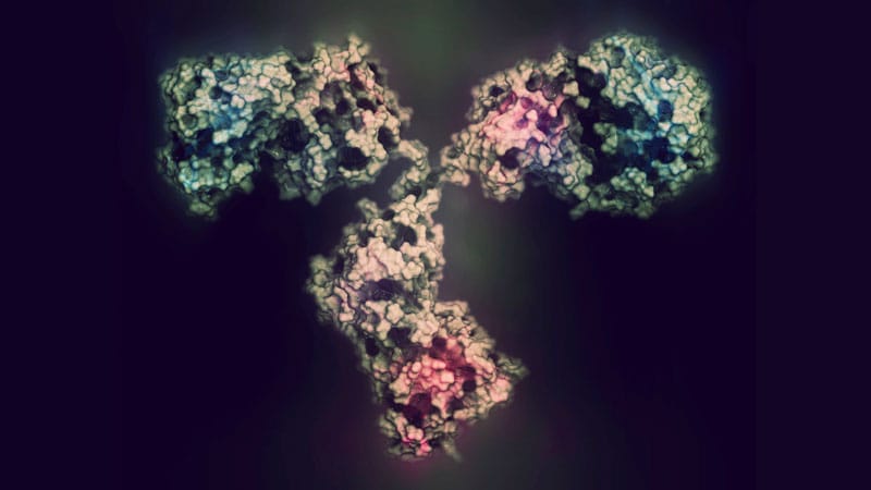 Subcutaneous Toripalimab Matches IV Formulation in NSCLC