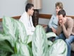photo of a doctor talking with patients