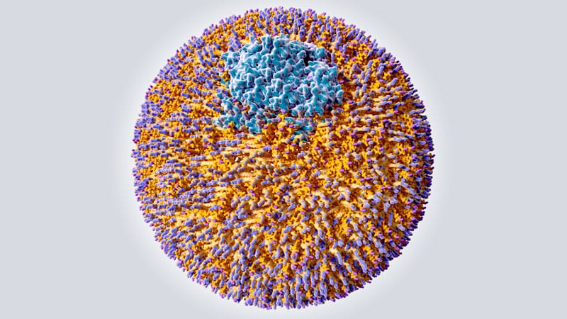 Machine Learning Equation May Simplify Estimation of Low-Density ...