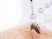 photo of mosquito bite