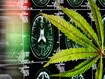 Cannabis leaf at brain scan as curation for dementia and alzheimers