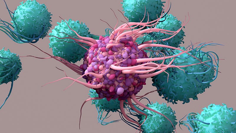 Scientists Uncover Mechanism to Slow Down Immune Cell Ageing