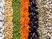 photo of different legumes
