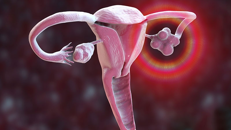 Les hommes transgenres ovulent malgré l’aménorrhée