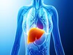 photo of Heart liver illustration
