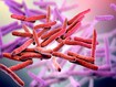 photo of Leprosy bacteria