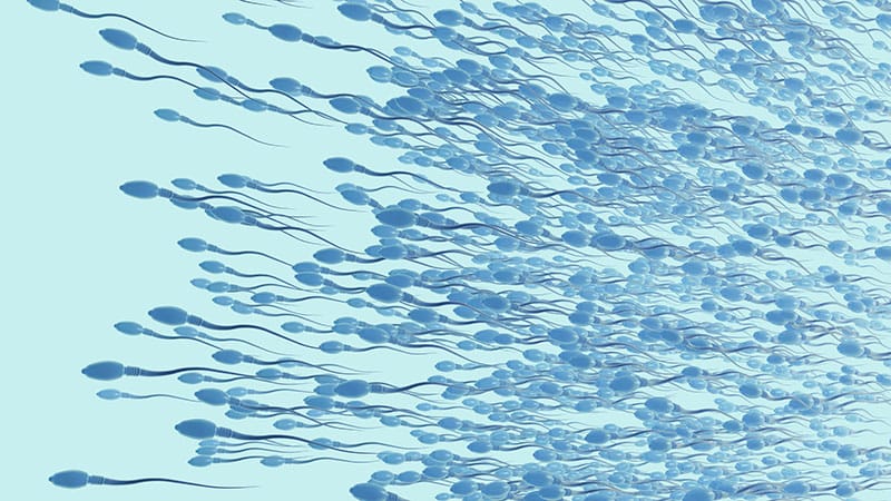 The Complex, Painstaking Quest to Make Lab-Grown Sperm