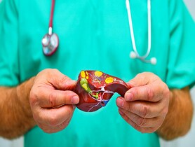 photo of Model of liver