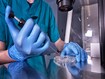 photo of In vitro fertilization process